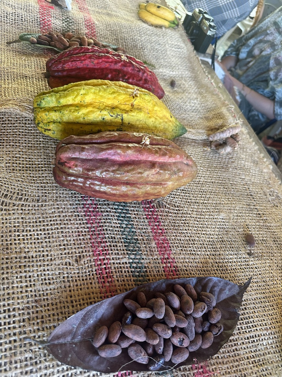 Cacao & Chill